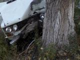 В Хакасии водитель на «Жигулях» врезался в дерево