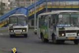 В Абакане водители автобусов не помнят правила дорожного движения