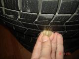 ���� 205/65r16 Bridgestone Blizzak Rev01