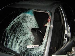 � ������� �������� "BMW" �������� ���� ��������